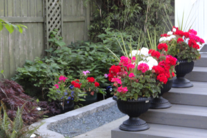flowerbeds - flower pots - planting - weeding - fertilizing -  services by Little Mountain Landscaping