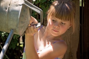 complete garden care and garden maintenance services in Qualicum Beach and Parksville
